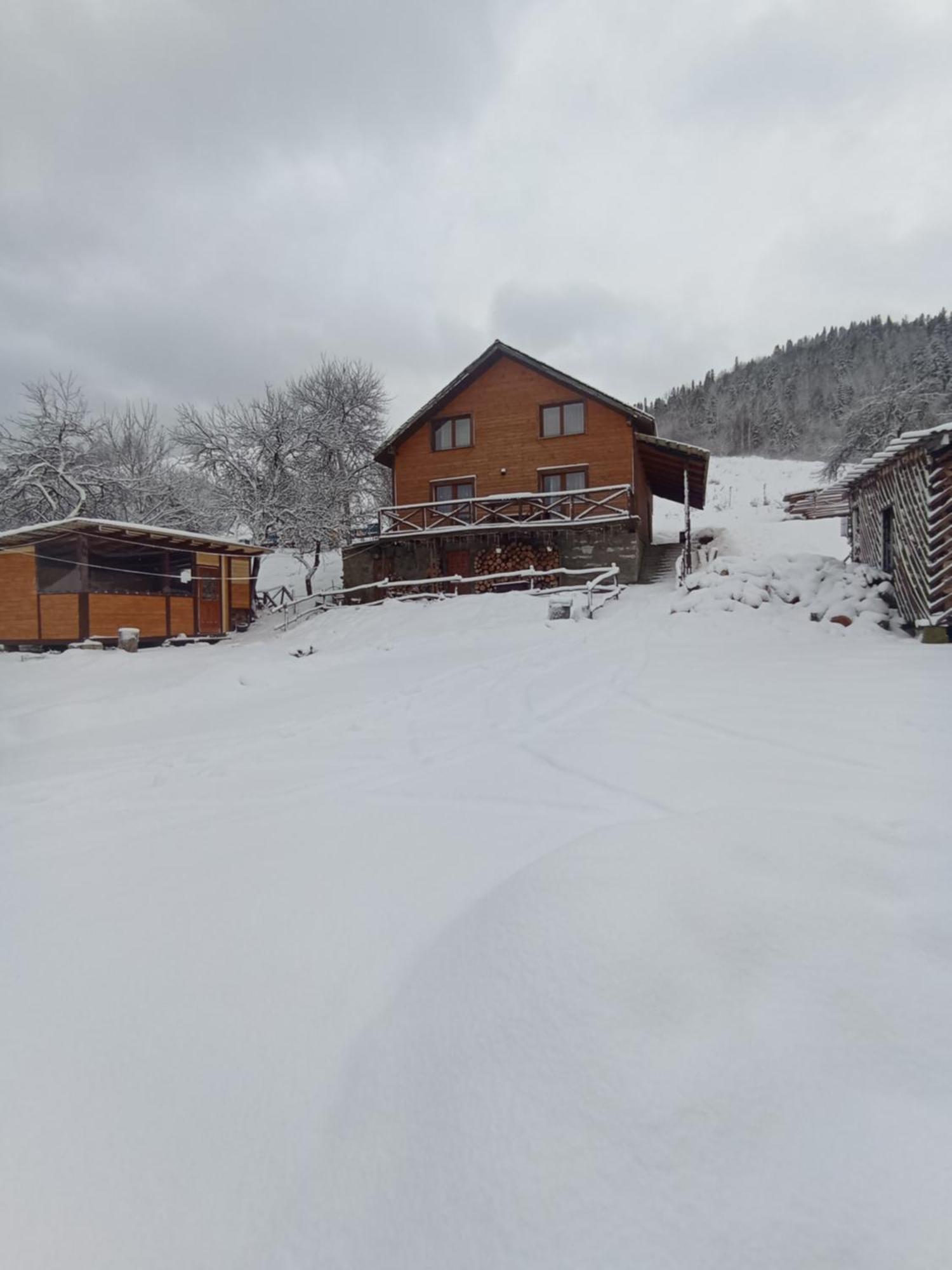 Smerekova Hata Oryavchyk Exterior foto