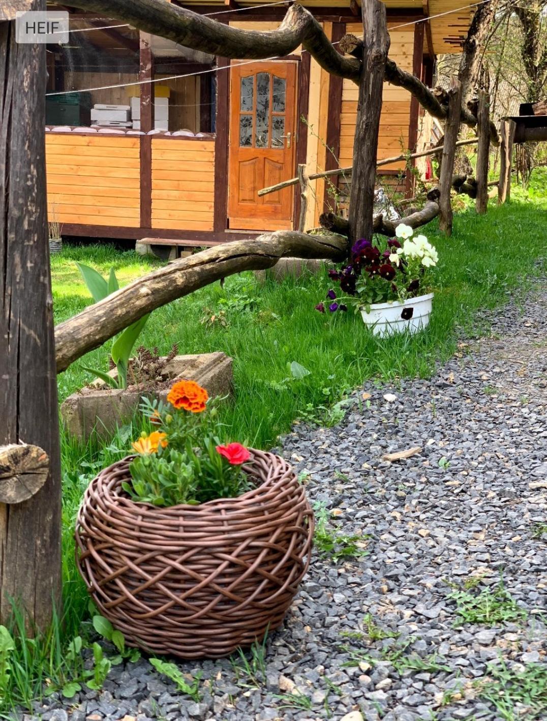 Smerekova Hata Oryavchyk Exterior foto